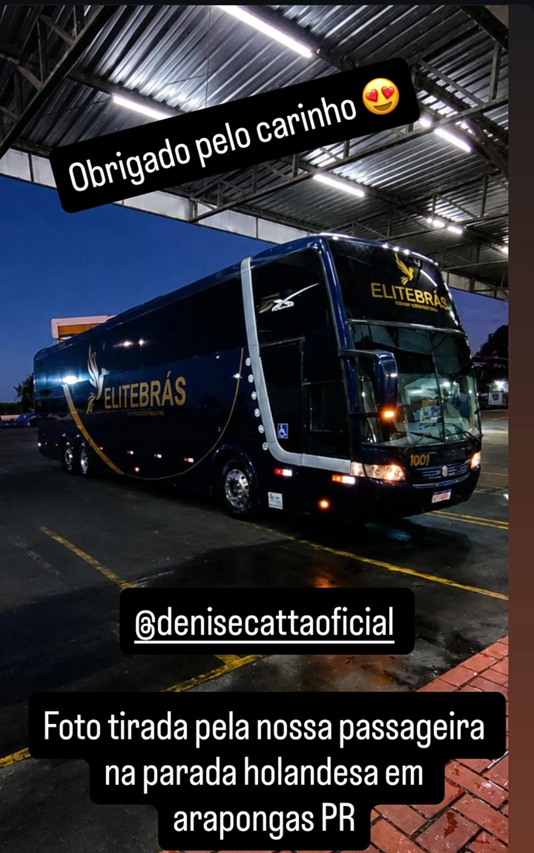 Depoimento de Denise Catta